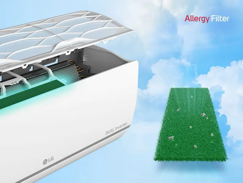 Reduce Allergens for Healthier Air